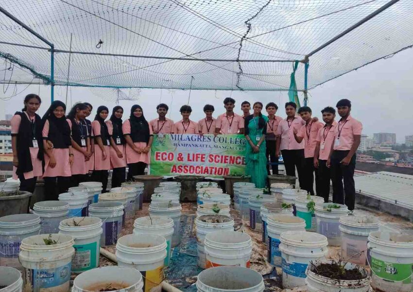 Blog thumbnail text-center